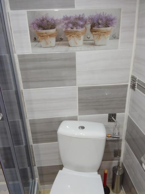 Pod Bluszczem Apartment ชวีโนวิชแจ ภายนอก รูปภาพ